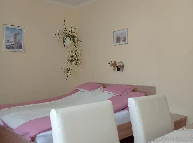 Pensionat Akac Vendeghaz 3*